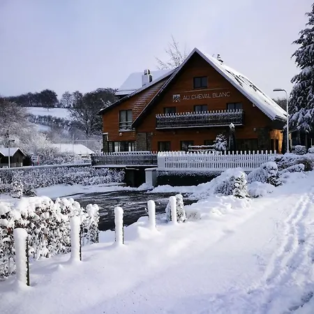 Au Cheval Blanc - De Montagne - 20 Personnes Apartahotel