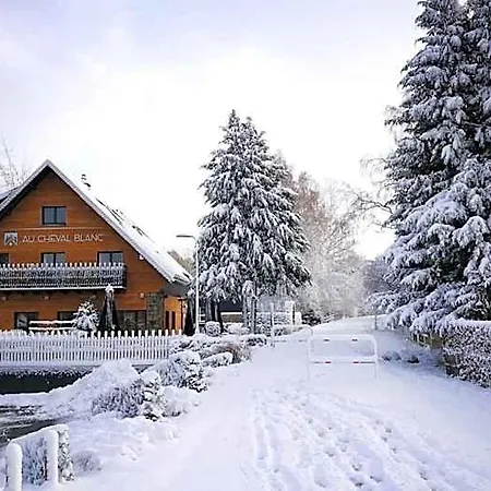 Aparthotel Au Cheval Blanc - Appart-hotel