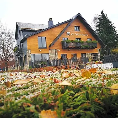 Aparthotel Au Cheval Blanc - Appart-hotel 3*