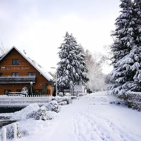 Au Cheval Blanc - De Montagne - 20 Personnes 3*